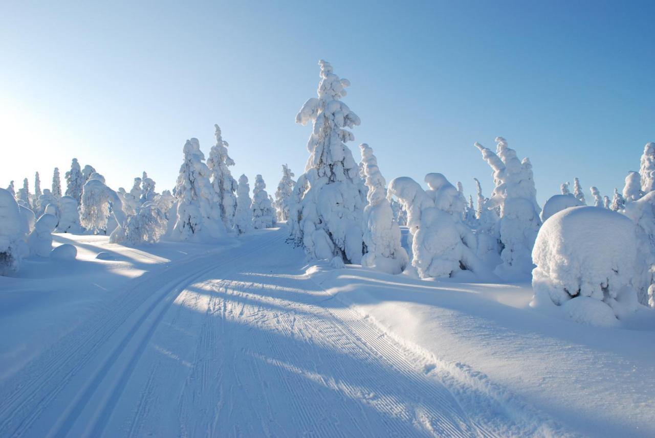Nuoriso- Ja Luontomatkailukeskus Oivanki Buitenkant foto